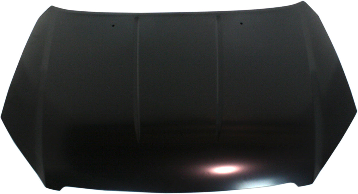 ALTIMA 05-06 HOOD, Steel