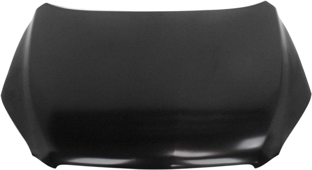 RAV4 06-12 HOOD