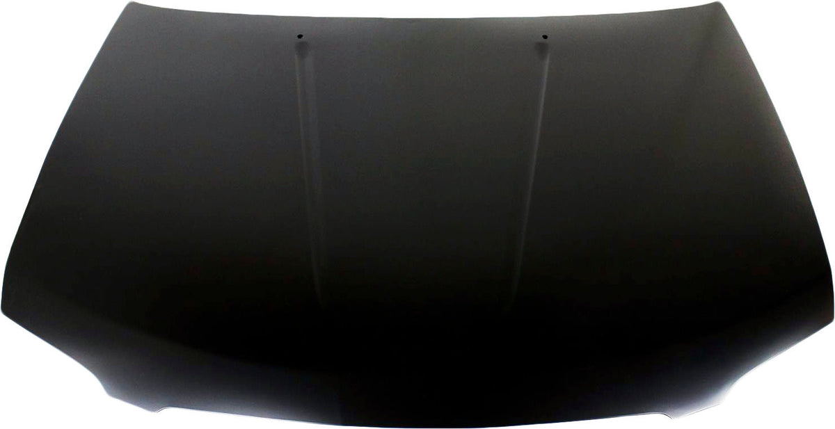 SENTRA 04-06 HOOD, Steel